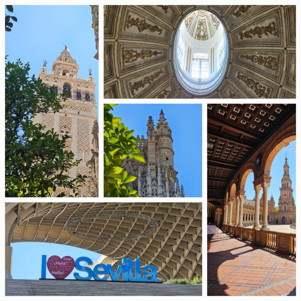 malaga 06